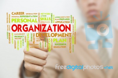 Organization Development Plan Stock Photo