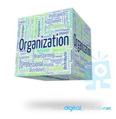 Organization Word Represents Planning Coordination And Running Stock Image