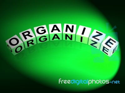 Organize Dice Represent Organization Management And Established Stock Image