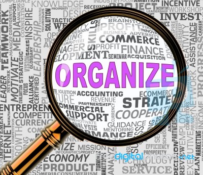 Organize Magnifier Shows Arranged Management 3d Rendering Stock Image