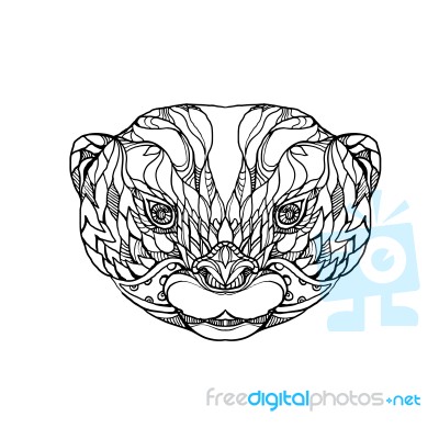 Oriental Small-clawed Otter Doodle Art Stock Image