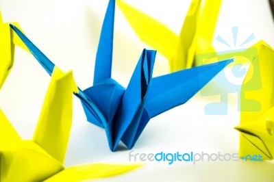 Origami Birds Demonstrate Think Different Concept. Bird Paper Folding Stock Photo