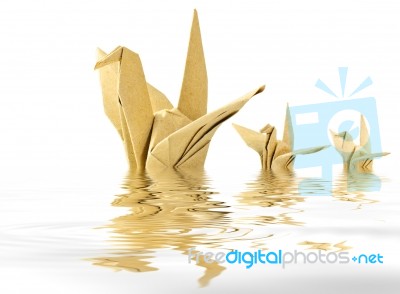Origami crane floating in water Stock Image