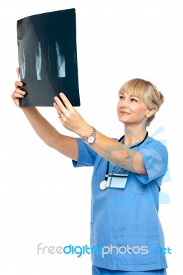 Orthopedic Surgeon Holding Up X-ray To Analyze Stock Photo