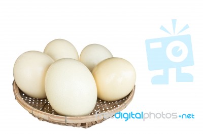 Ostrich Eggs Stock Photo