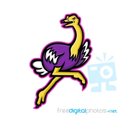Ostrich Running Mascot Stock Image