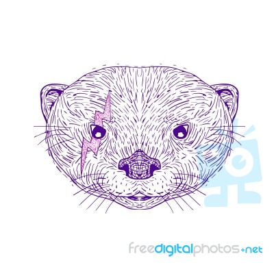 Otter Head Lightning Bolt Drawing Stock Image