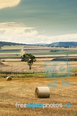 Outback Agricultural And Farming Field Stock Photo