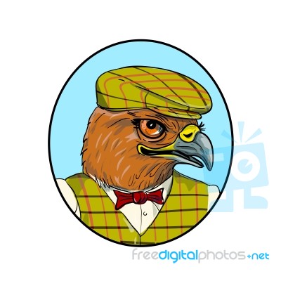 Outdoorsman Hawk Head Drawing Stock Image