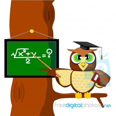 Owl Stock Image