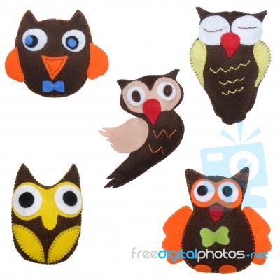 Owl Stock Photo Owl Stock Photo