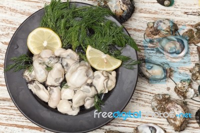 Oyster Seafood Lemon Fresh Mussel Asia Appetizer Stock Photo