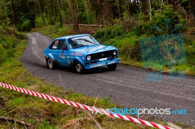P. Fitzgerald Driving Ford Escort Stock Photo