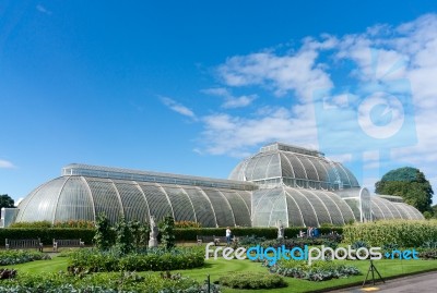 Palm House At Kew Gardens Stock Photo