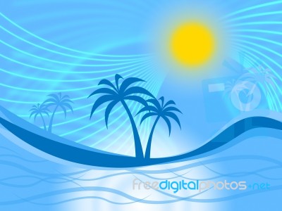 Palm Tree Indicates Tropical Climate And Coastline Stock Image