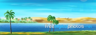 Palm Trees On The Banks Of The Nile River In Egypt Stock Image