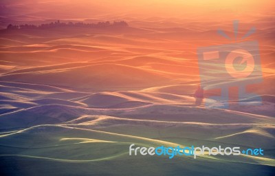 Palouse Glow Stock Photo