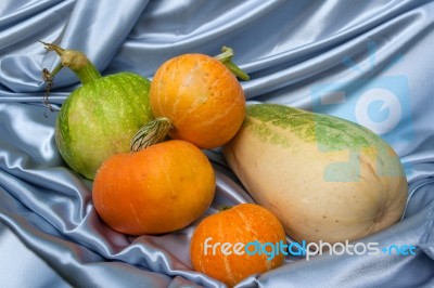 Pampkins And Marrows Stock Photo