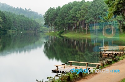 Pang Ung, Beautiful Forest Lake In The Morning Stock Photo