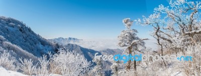 Panorama Of Winter,deogyusan In Korea Stock Photo