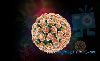 Papilloma Virus Stock Image