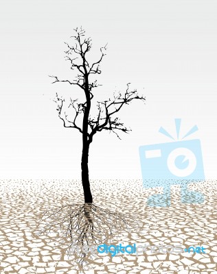 Parched Land Stock Image