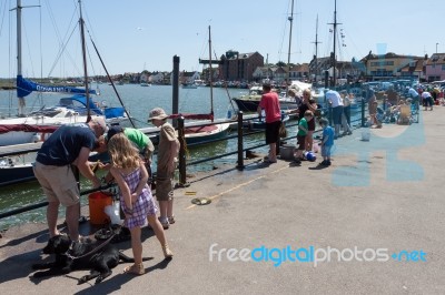 Parents Showing Children How To Catch Crabs In Wells Stock Photo