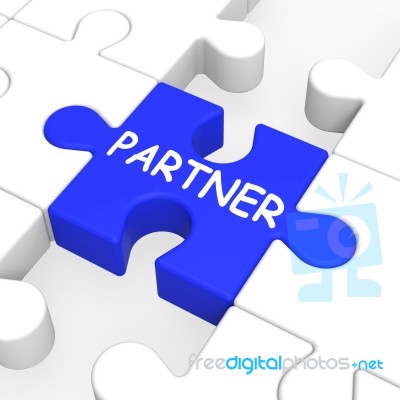 Partner Puzzle Showing Partnership And Teamwork Stock Image