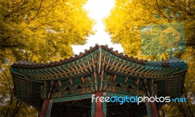 Pavilion Autumn Stock Photo