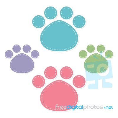 Paw Prints Color On White Background Stock Image