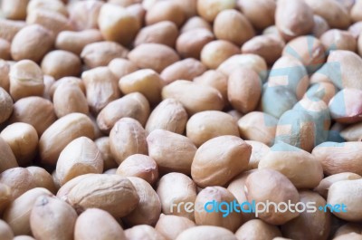 Peanut Stock Photo