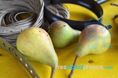 Pears On A Table With Working Tools Stock Photo