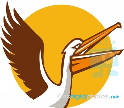 Pelican Flying Up Circle Retro Stock Image