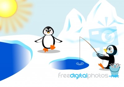 Penguin Stock Image