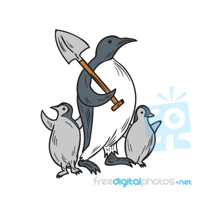 Penguin Holding Shovel With Chicks Drawing Stock Image