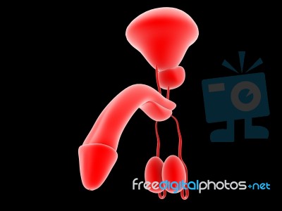 Penis In Red Stock Image