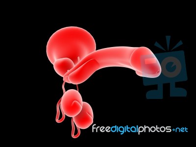 Penis In Red Stock Image