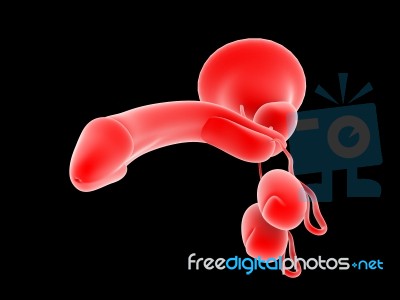 Penis In Red Stock Image