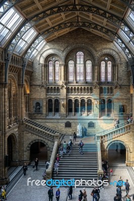 People Exploring  The National History Museum In London Stock Photo