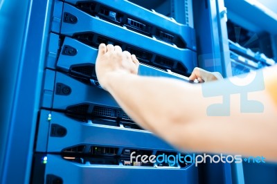 People Fix Server Network In Data Room Stock Photo