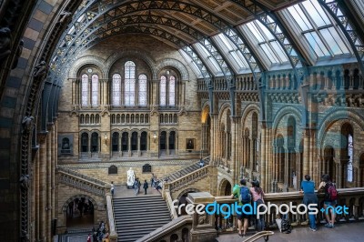 People Looking Over A Balcony At The Natural History Museum In L… Stock Photo