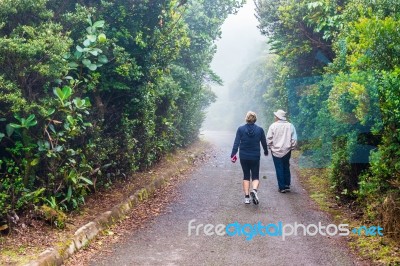 People Walking In Footpath Thru Rainforest In Costa Rica Stock Photo