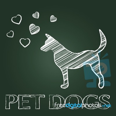 Pet Dogs Means Domestic Animals And Canine Stock Image