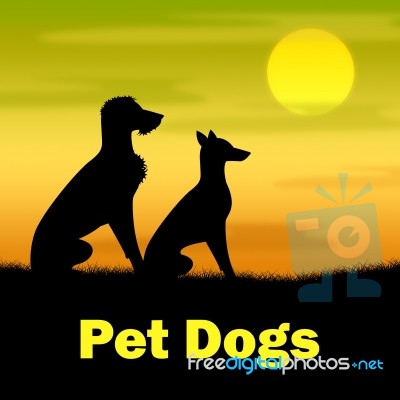 Pet Dogs Represents Domestic Animals And Canine Stock Image