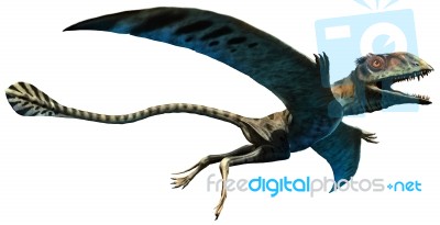 Peteinosaurus Stock Image