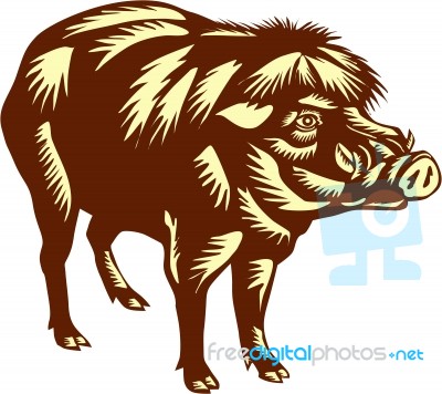 Philippine Warty Pig Woodcut Stock Image