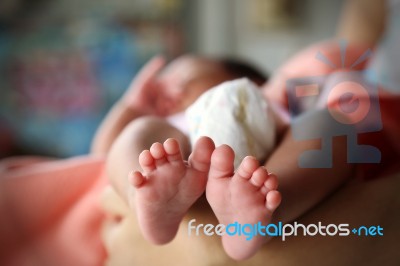 Photo Of Newborn Baby Feet Stock Photo