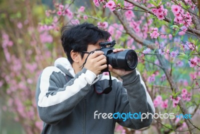 Photographer Stock Photo