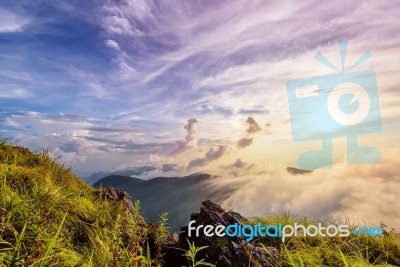 Phu Chi Fa Forest Park At Sunset, Thailand Stock Photo