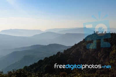 Phu Ruea National Park Stock Photo